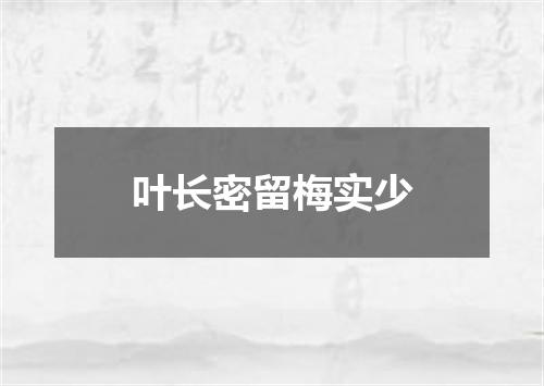 叶长密留梅实少