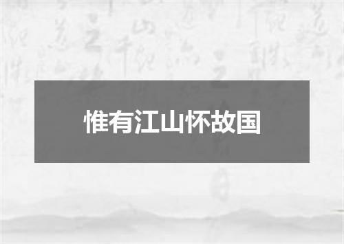 惟有江山怀故国