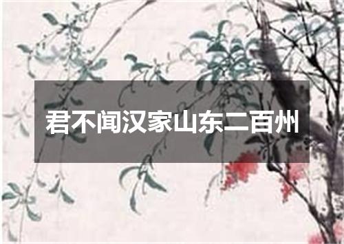 君不闻汉家山东二百州