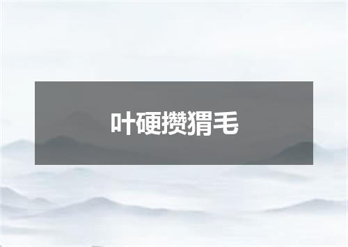 叶硬攒猬毛