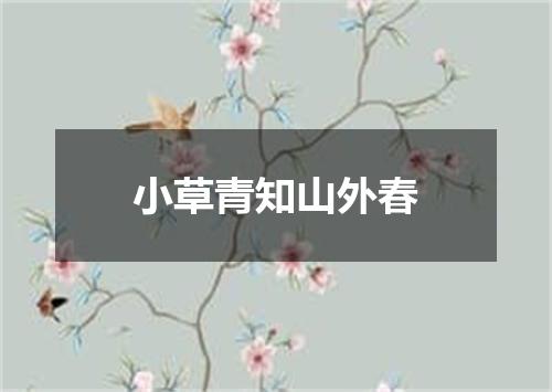 小草青知山外春