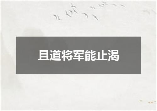 且道将军能止渴