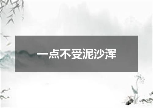 一点不受泥沙浑