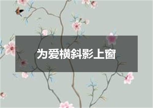 为爱横斜影上窗