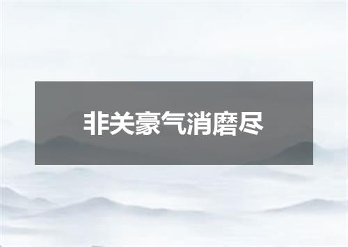 非关豪气消磨尽