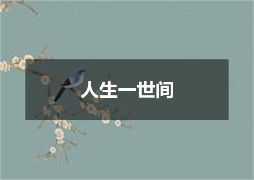 人生一世间