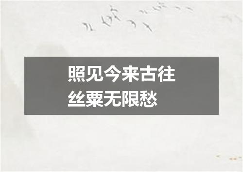 照见今来古往丝粟无限愁