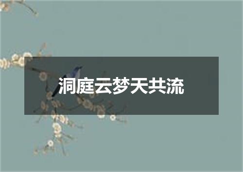 洞庭云梦天共流