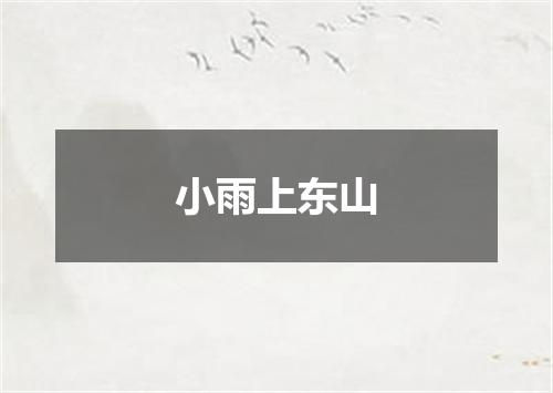 小雨上东山