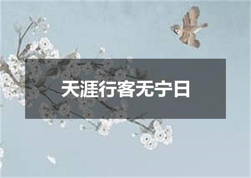 天涯行客无宁日