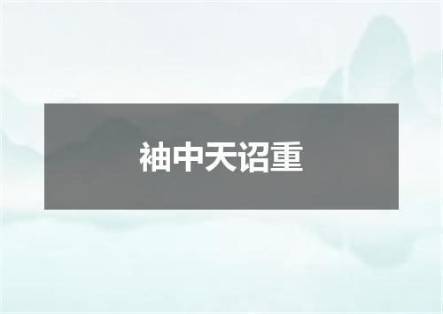 袖中天诏重