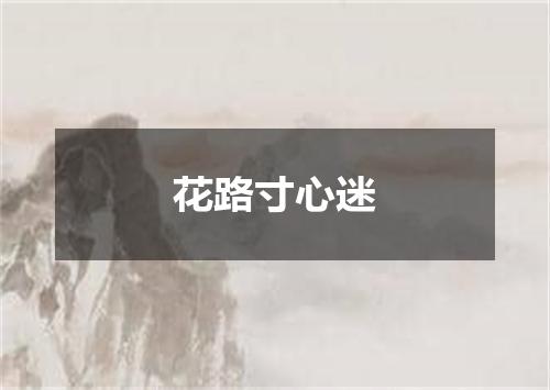 花路寸心迷