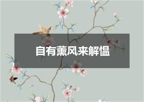 自有薰风来解愠