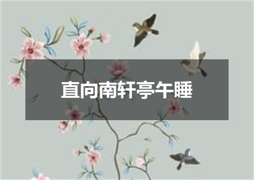直向南轩亭午睡