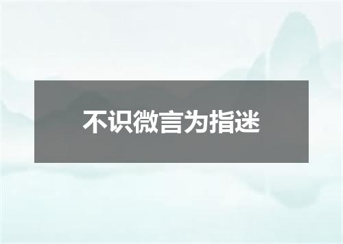 不识微言为指迷