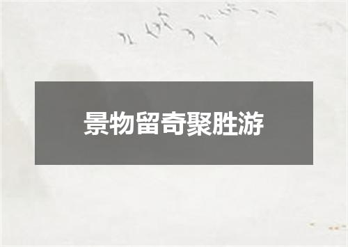 景物留奇聚胜游