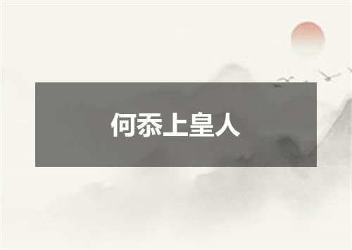 何忝上皇人