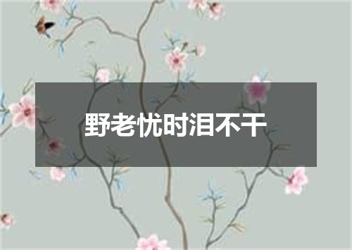 野老忧时泪不干