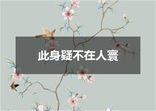 此身疑不在人寰