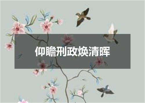 仰瞻刑政焕清晖