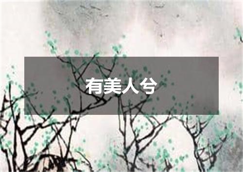 有美人兮