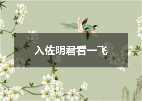 入佐明君看一飞