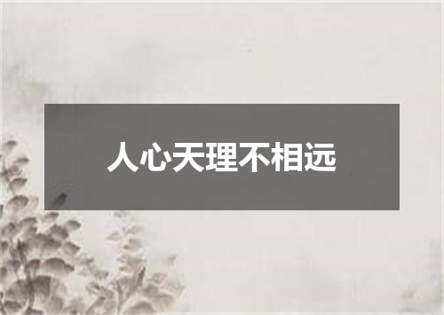 人心天理不相远