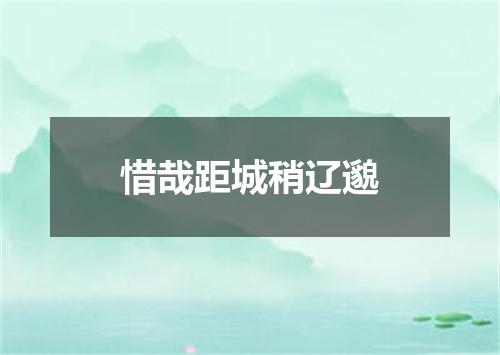 惜哉距城稍辽邈