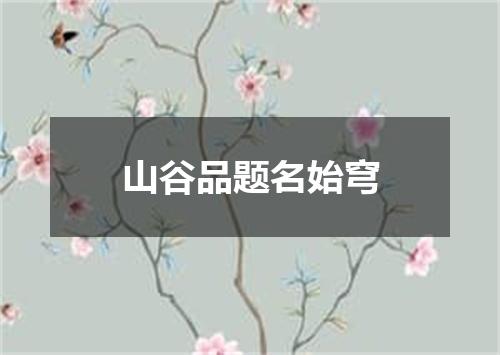 山谷品题名始穹
