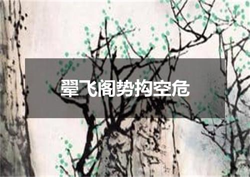 翚飞阁势抅空危