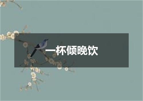 一杯倾晚饮