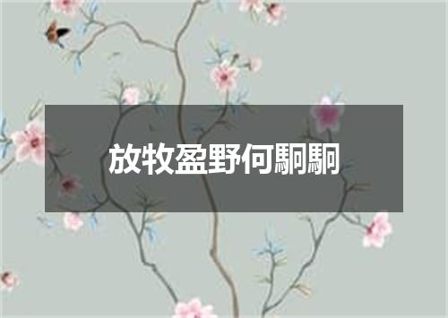 放牧盈野何駉駉