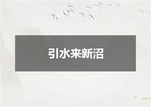 引水来新沼