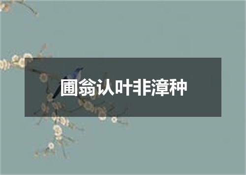 圃翁认叶非漳种