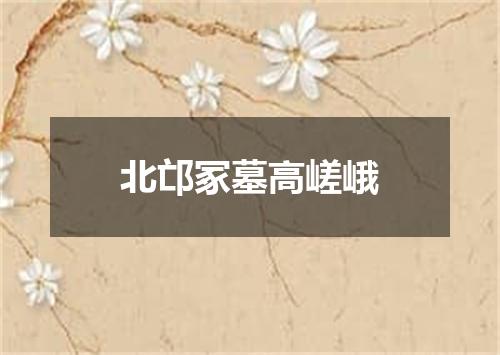 北邙冢墓高嵯峨