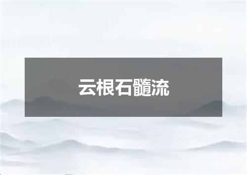 云根石髓流