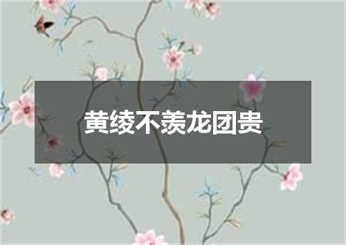 黄绫不羡龙团贵