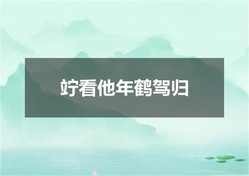 竚看他年鹤驾归