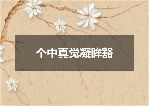 个中真觉凝眸豁