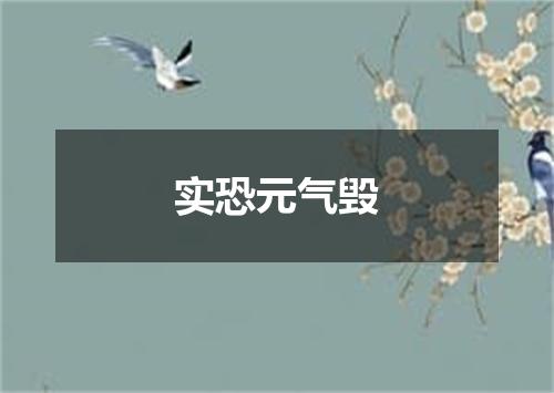 实恐元气毁