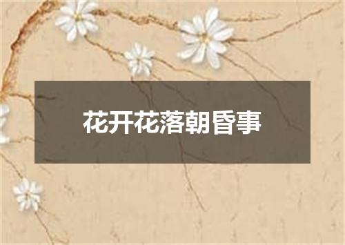 花开花落朝昏事