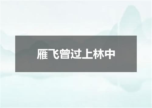 雁飞曾过上林中