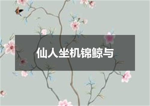 仙人坐机锦鲸与