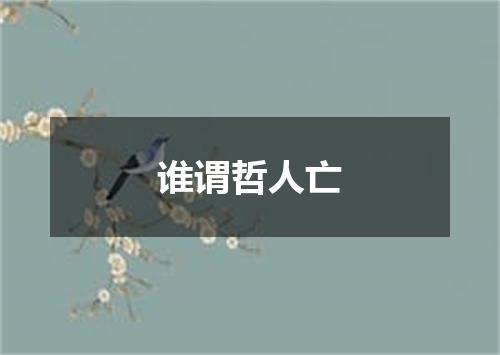 谁谓哲人亡