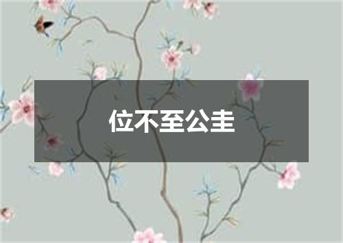位不至公圭