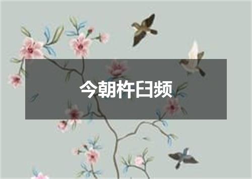 今朝杵臼频