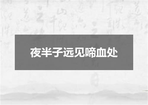 夜半子远见啼血处