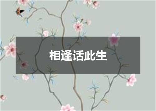 相逢话此生