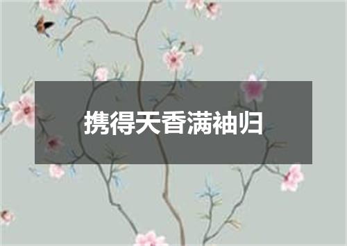 携得天香满袖归