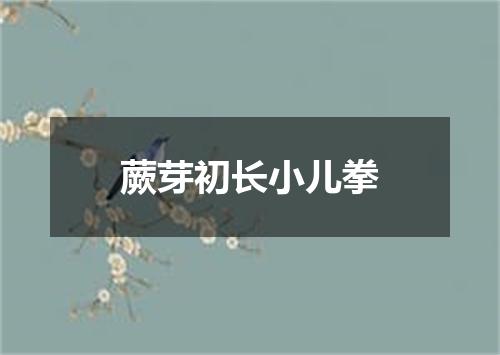 蕨芽初长小儿拳